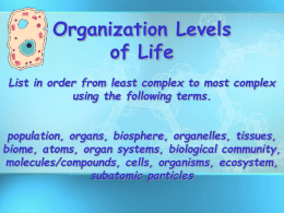 Levels of Organization Z