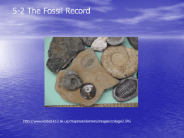 5-2 The Fossil Record