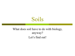 Soils - TeacherWeb