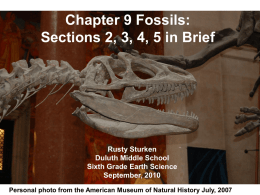 Fossils Chapter 9, Sections 2 to 5 in brief Powerpoint