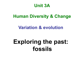 Fossils - Our eclass community