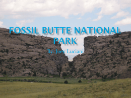 Fossil Butte National Park