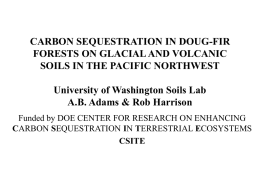 Carbon Sequestration in 4 Soil Types