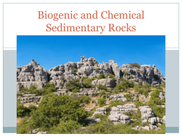 Biogenic and Chemical Sedimentary Rocks