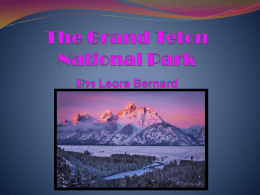 The Grand Teton National Park By
