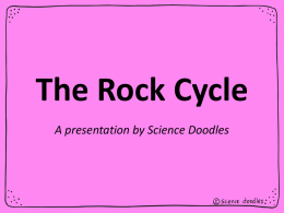 13 The Rock Cyclex