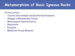 LECTURE 20 - Blueschist and Eclogites