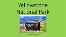 Yellowstone National Park - Brown-Leach15
