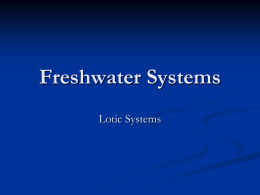 What are lotic systems