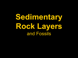 Sedimentary Rocks and Fossils File