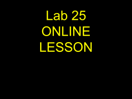 Lab 25