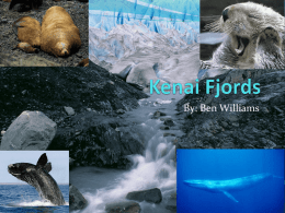 Kenai Fjords - maliszewski09