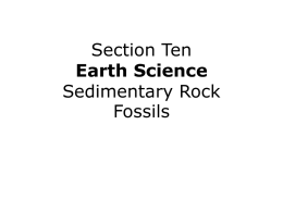 Section Ten Sedimentary Rock Fossils Fossil Fuels