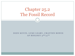 Chapter 25.2 The Fossil Record