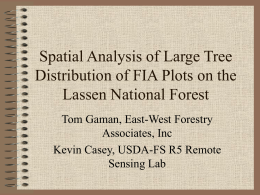 Spatial Analysis of Large Tree Distribution of FIA Plots on the