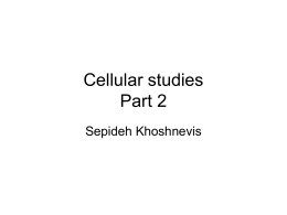 Cellular studies Part 2