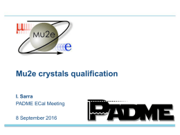 Mu2e_crystals_photosensor_qualificationx