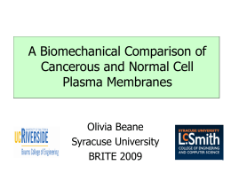 A Biomechanical Comparison of Cancerous and Normal Cell