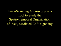 Laser-Scanning Microscopy as a Tool to Study the Spatio