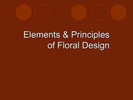 Principles and Elements PPT