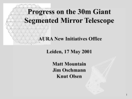 Progress on the 30m Giant Segmented Mirror