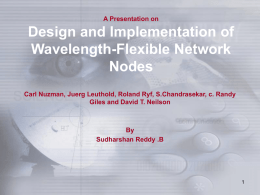 Wavelength Flexibility in the networks