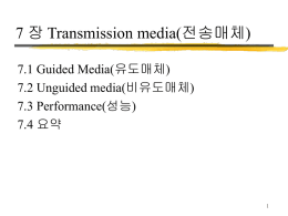 7 장 Transmission media(전송매체)