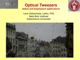 Optical tweezers - Niels Bohr Institutet