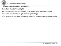 Confocal laser scanning microscopy - Friedrich-Schiller
