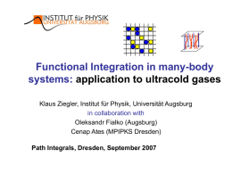 Functional integrals in many