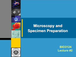 Microscopy - Université d`Ottawa