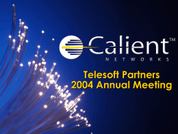 Company Overview - Calient Networks