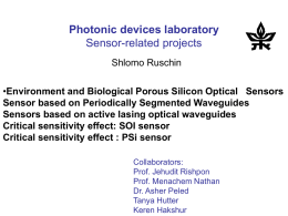 Porous Silicon Optical Sensors Tanya Hutter and Shlomo Ruschin
