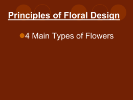 Principles and Elements of Floral Design