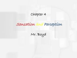 chapter4ppt