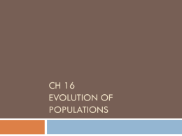 Ch 16 Evolution of populations