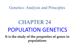 population genetics File