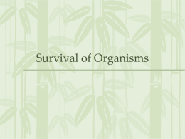 Survival of Organisms