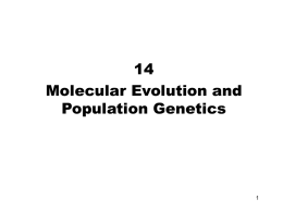 Molecular Evolution and Population Genetics