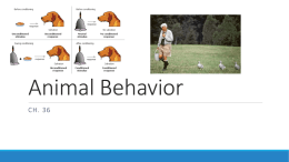 Ch. 36-Animal Behavior