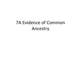 7A Evidence of Common Ancestry