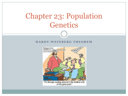 Chapter 23: Population Genetics