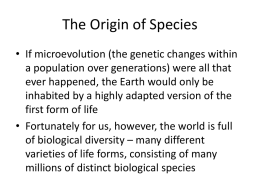 Chapter 14 – Origin of Species