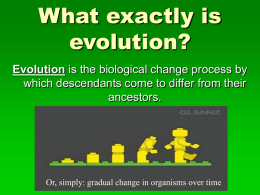 Theory of Evolution Power Point