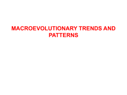 Lecture 20 Macroevolution
