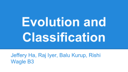 Evolution and Classification