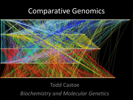 Comparative Genomics(ppt)