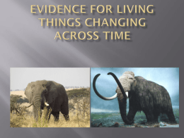 Evidence for Change Across Time