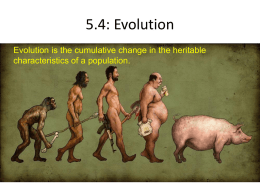5.4: Evolution - HS Biology IB