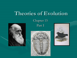 theories of evolution, ch 15 part 1